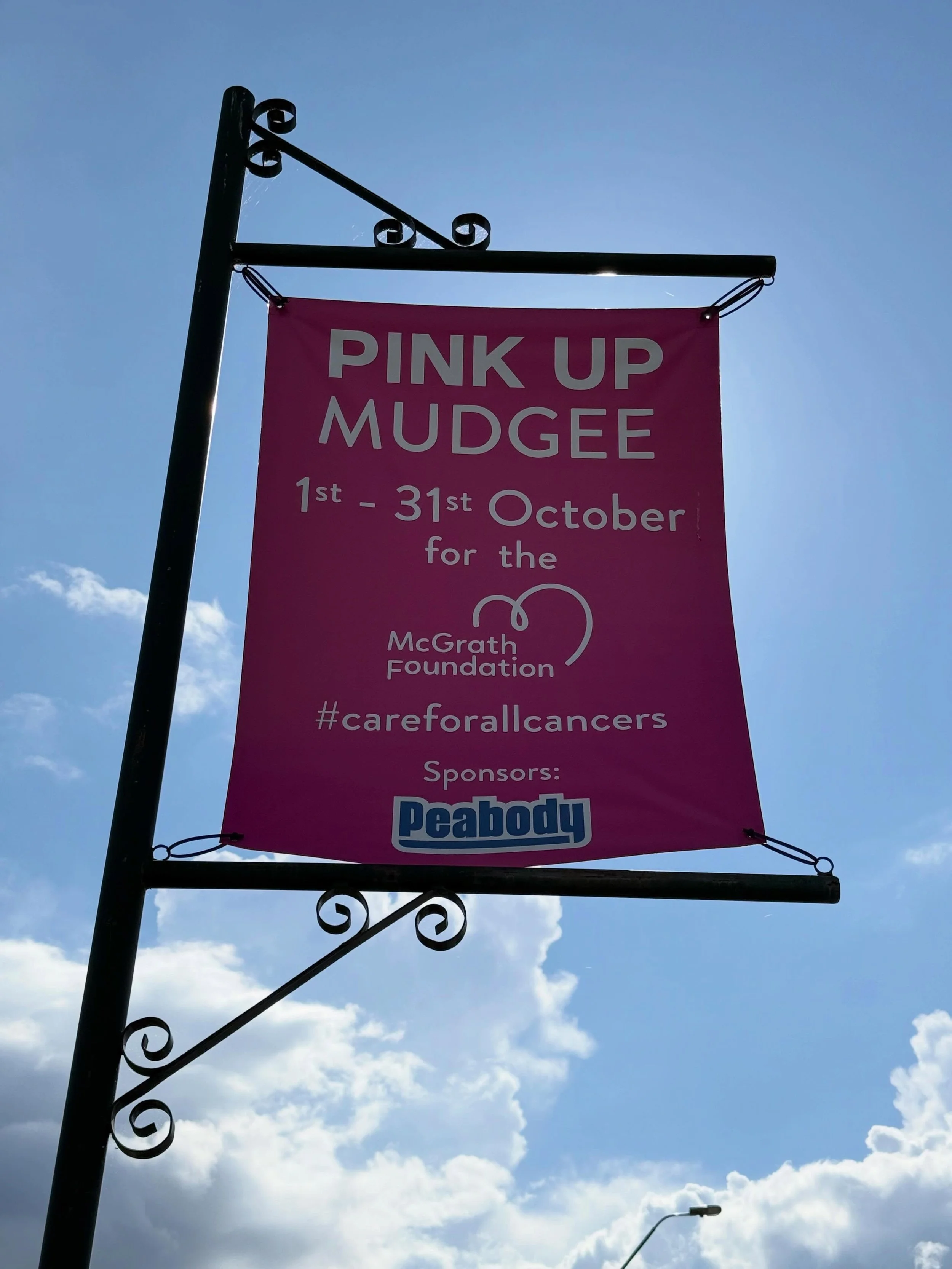 Arrived in Mudgee to a town prettily pinked up for Cancer Awareness Month to help raise funds for the McGrath Foundation who place cancer care nurses in communities throughout Australia. I also made a visit to the very welcoming @booknestmudgee and h