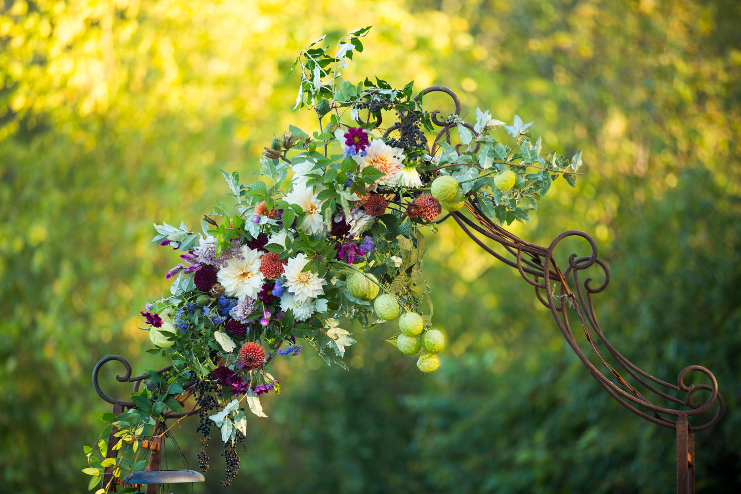 Jennifer and Matt Rocklands Farm Maryland Wedding Molly M Peterson Photography_13.JPG