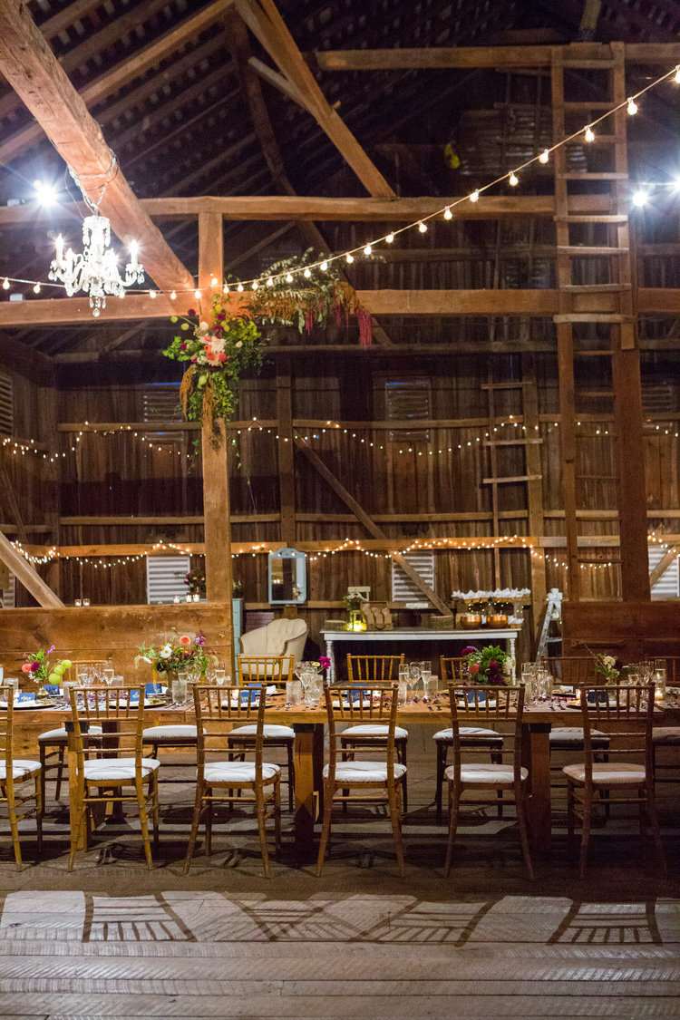 Jennifer and Matt Rocklands Farm Maryland Wedding Molly M Peterson Photography_68.JPG