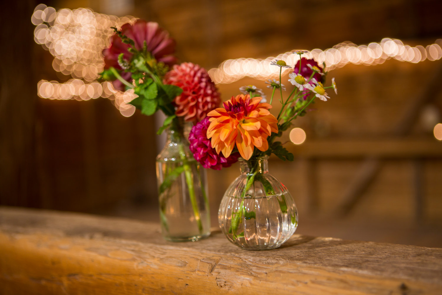 Jennifer and Matt Rocklands Farm Maryland Wedding Molly M Peterson Photography_70.JPG