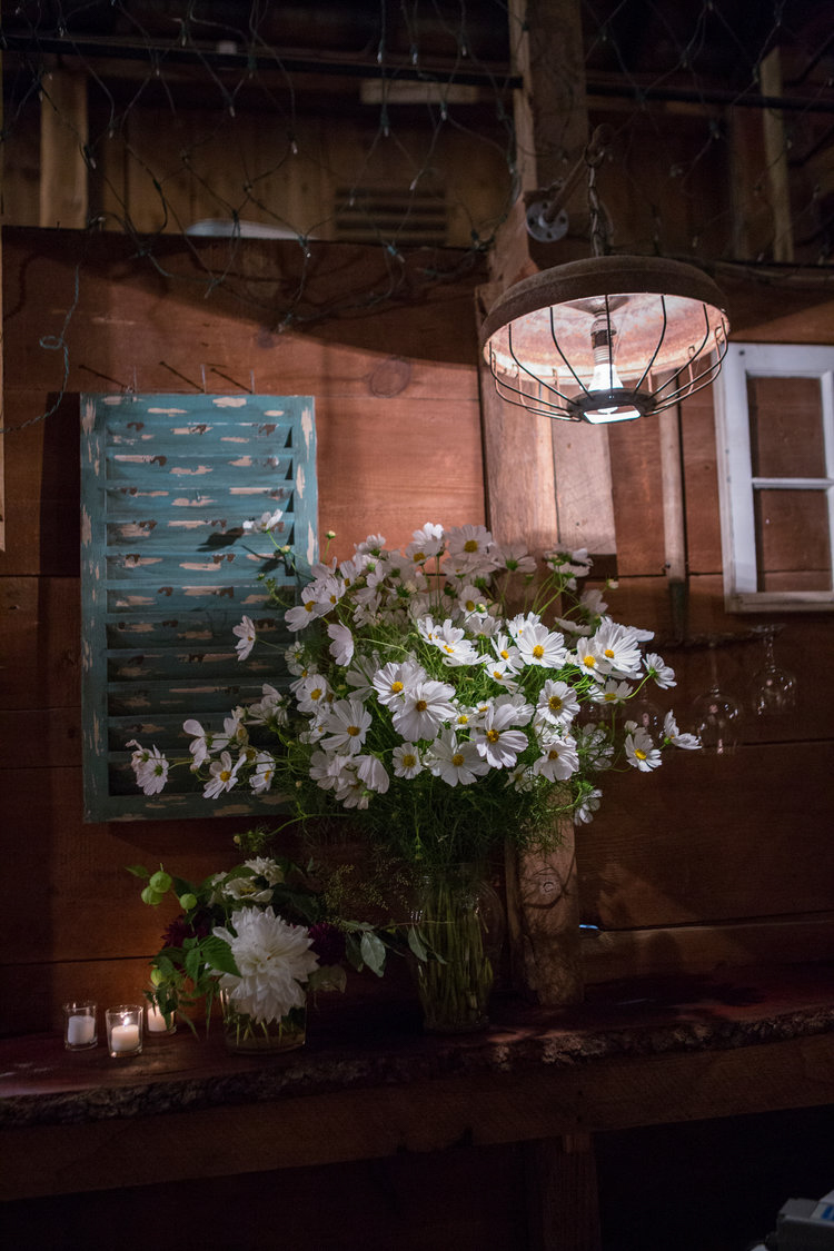 Jennifer and Matt Rocklands Farm Maryland Wedding Molly M Peterson Photography_71.JPG