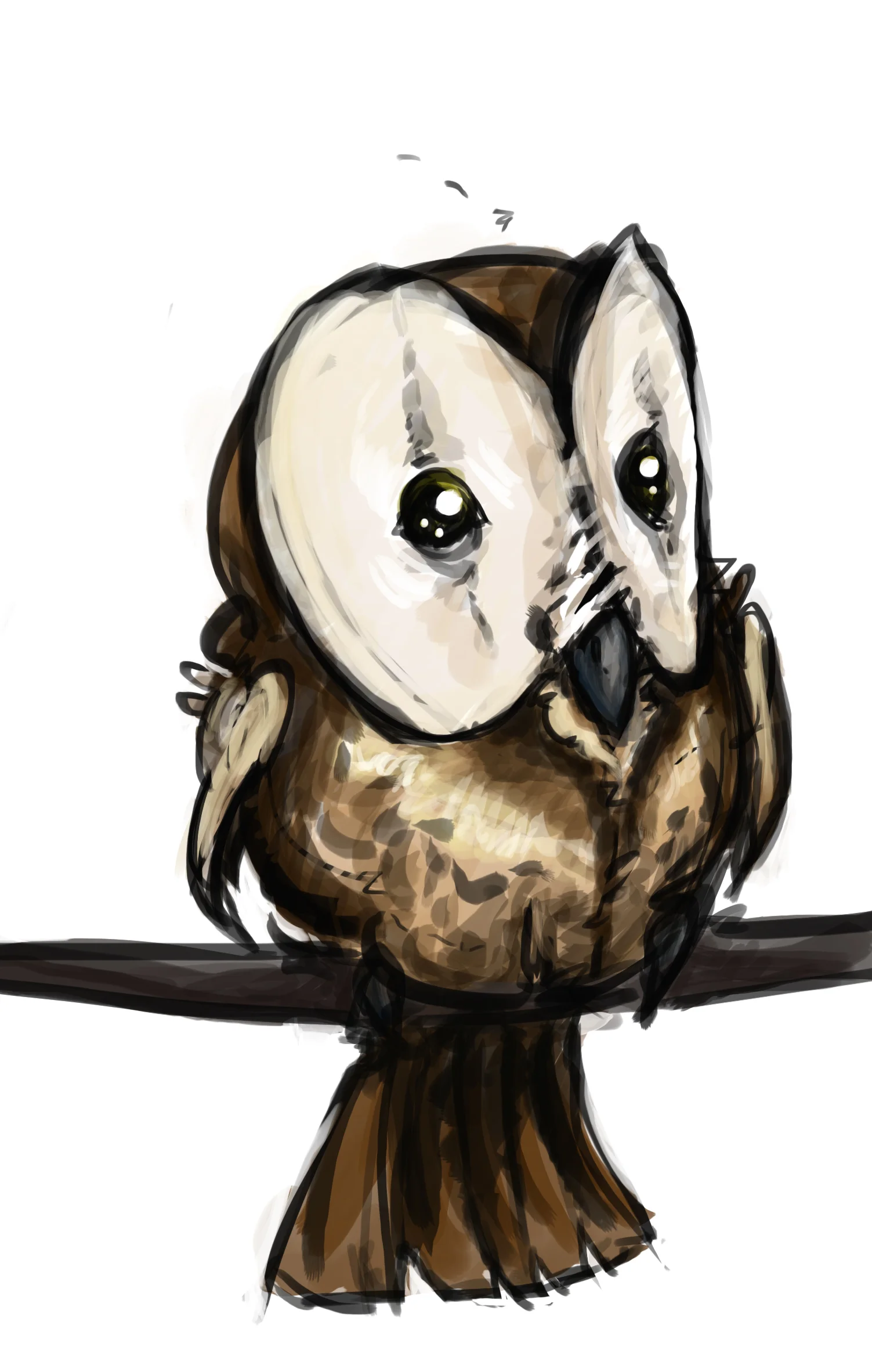 Little Owl