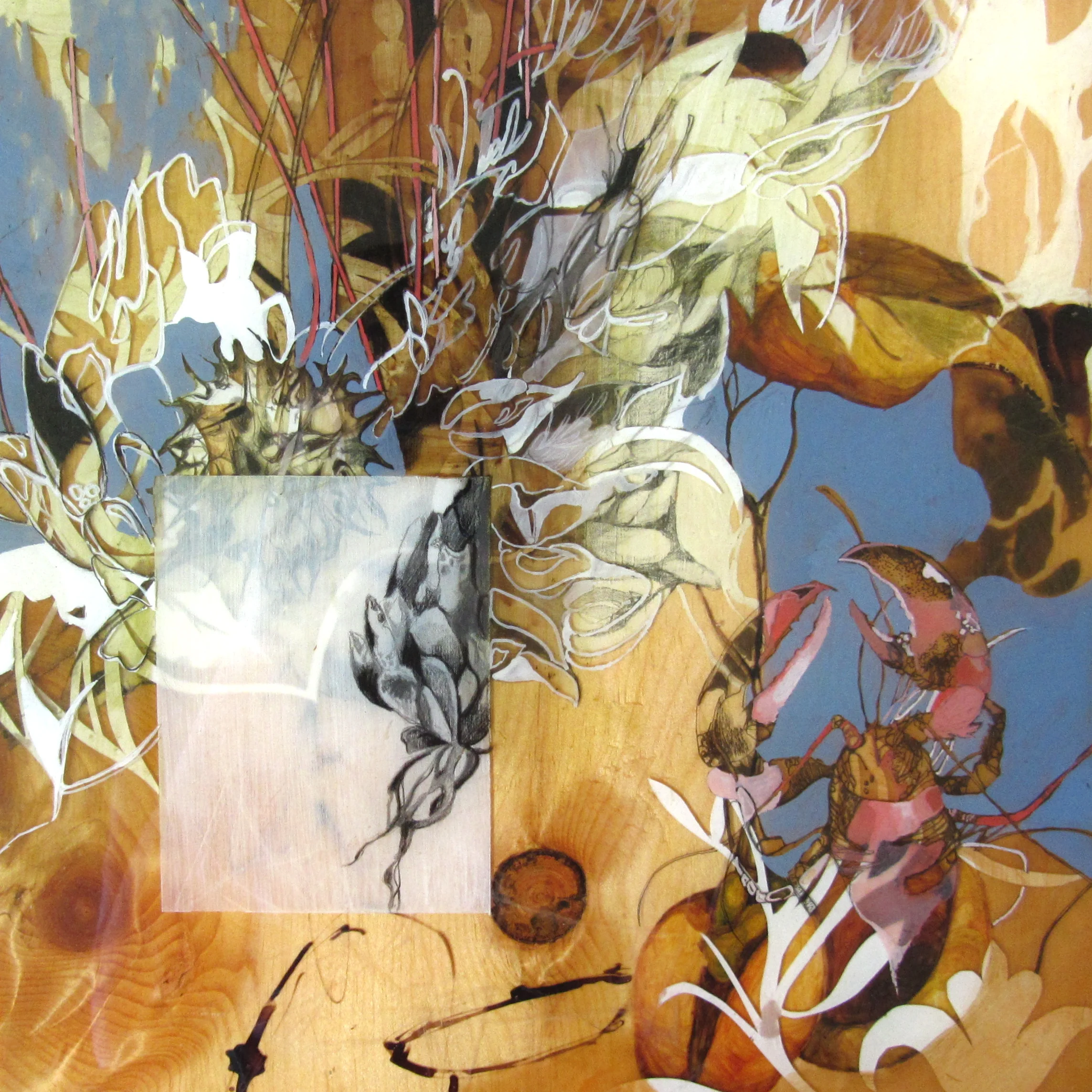 The Clefts and Crevices