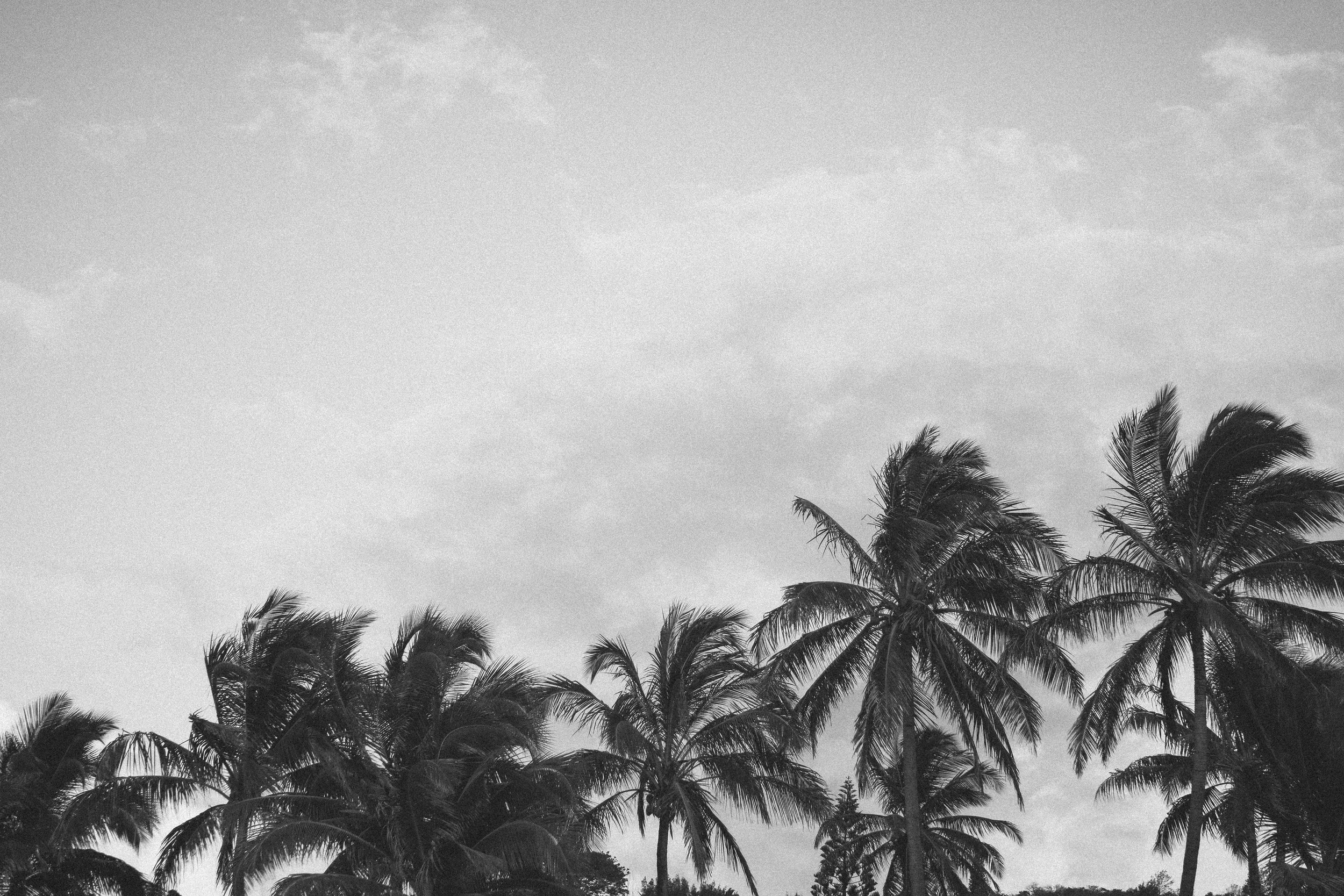 LEATHER FIN KEYCHAIN