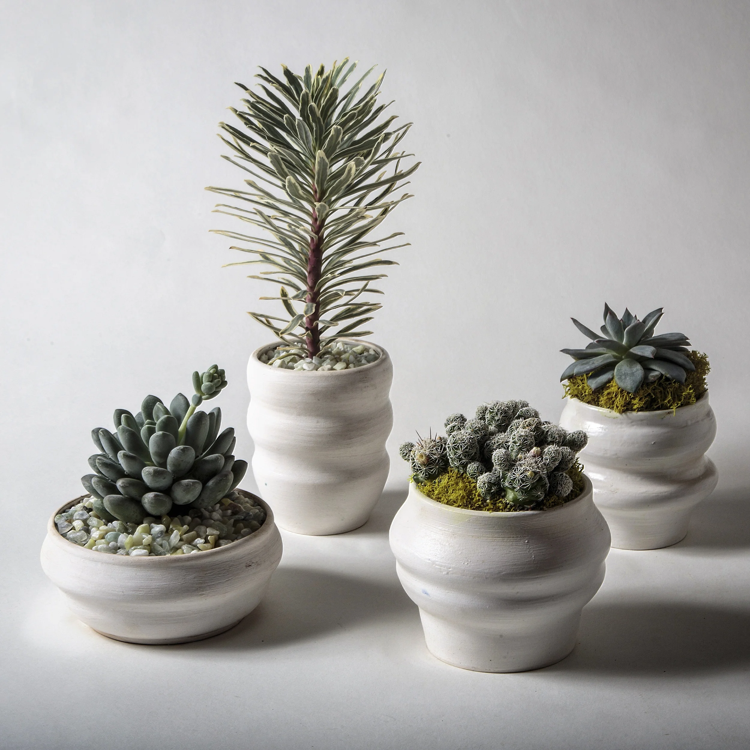 Winter White Grouping