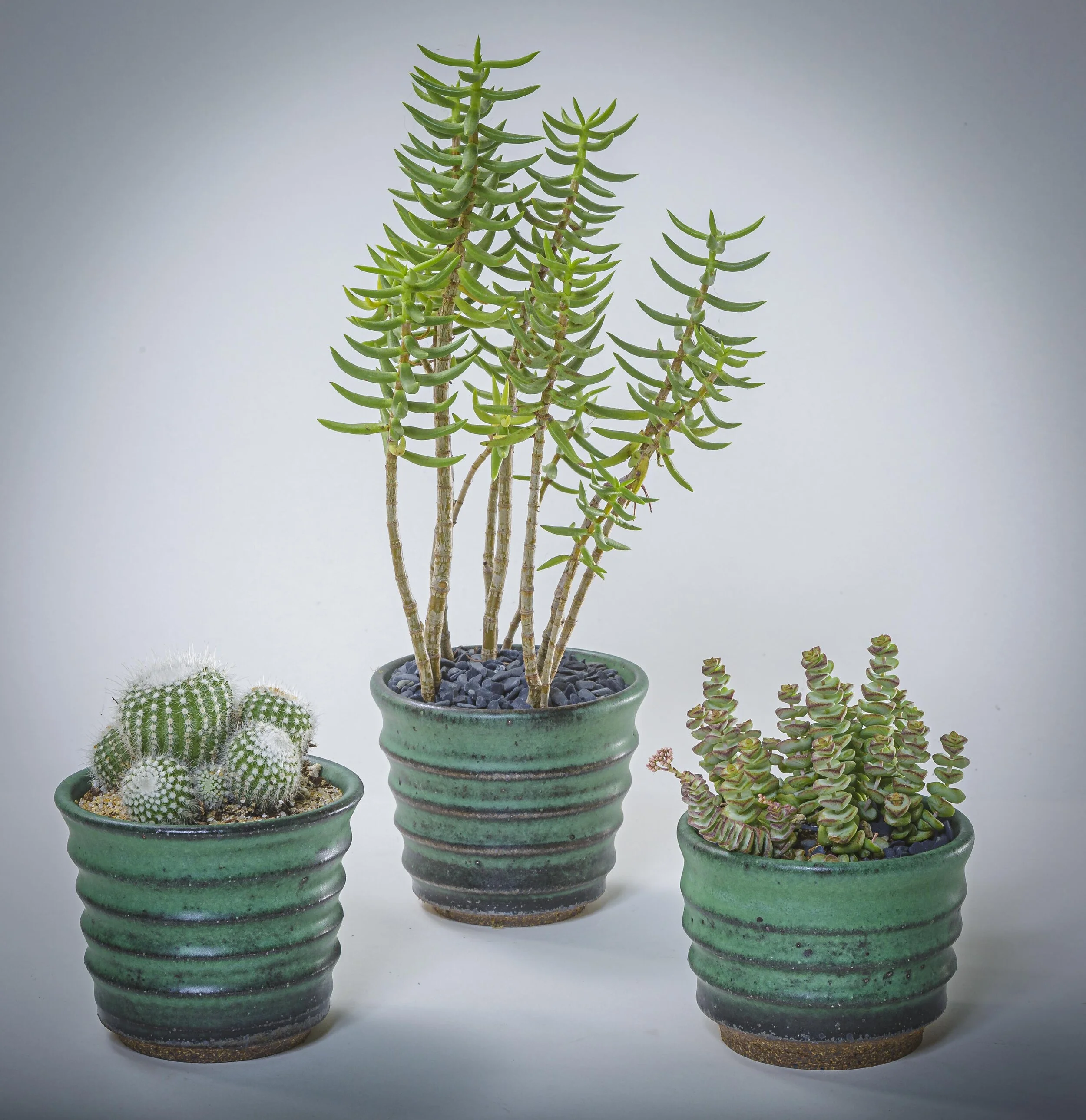  Green Ridge Set: Green to Black on Stoneware 