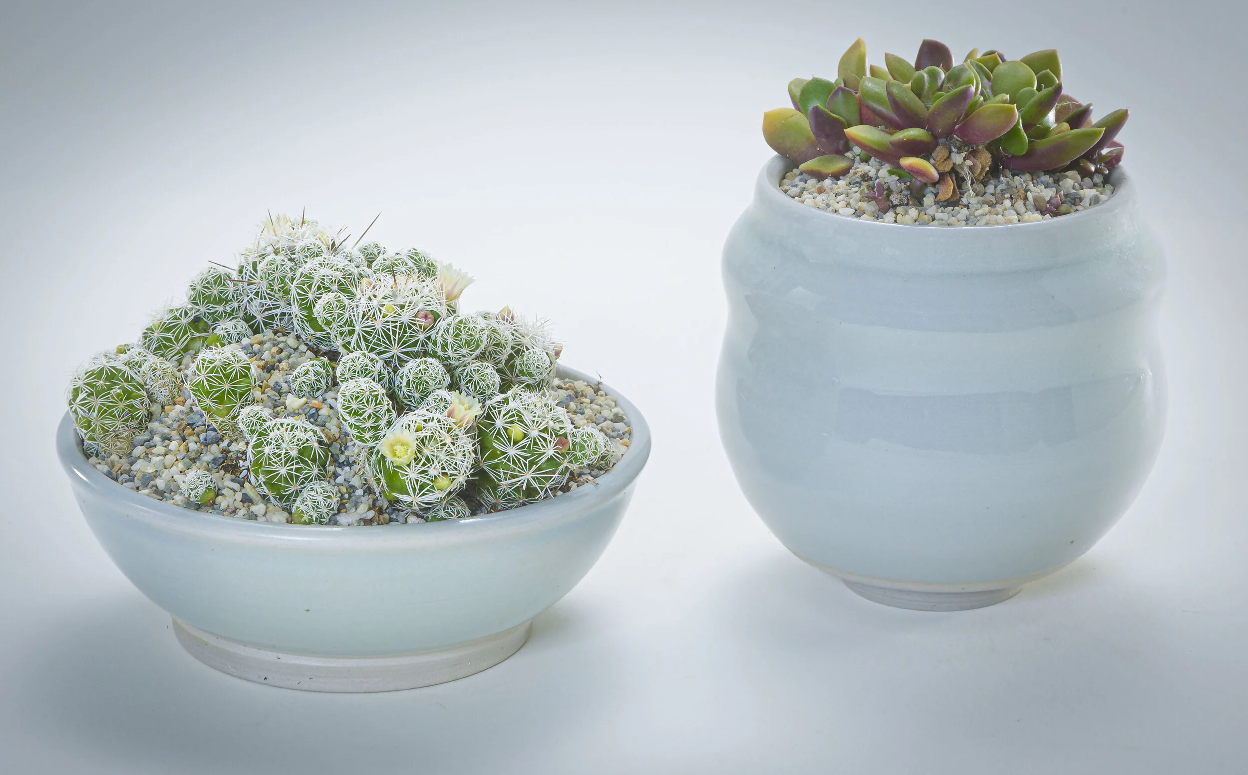  Korean Blue Celadon on Porcelain 