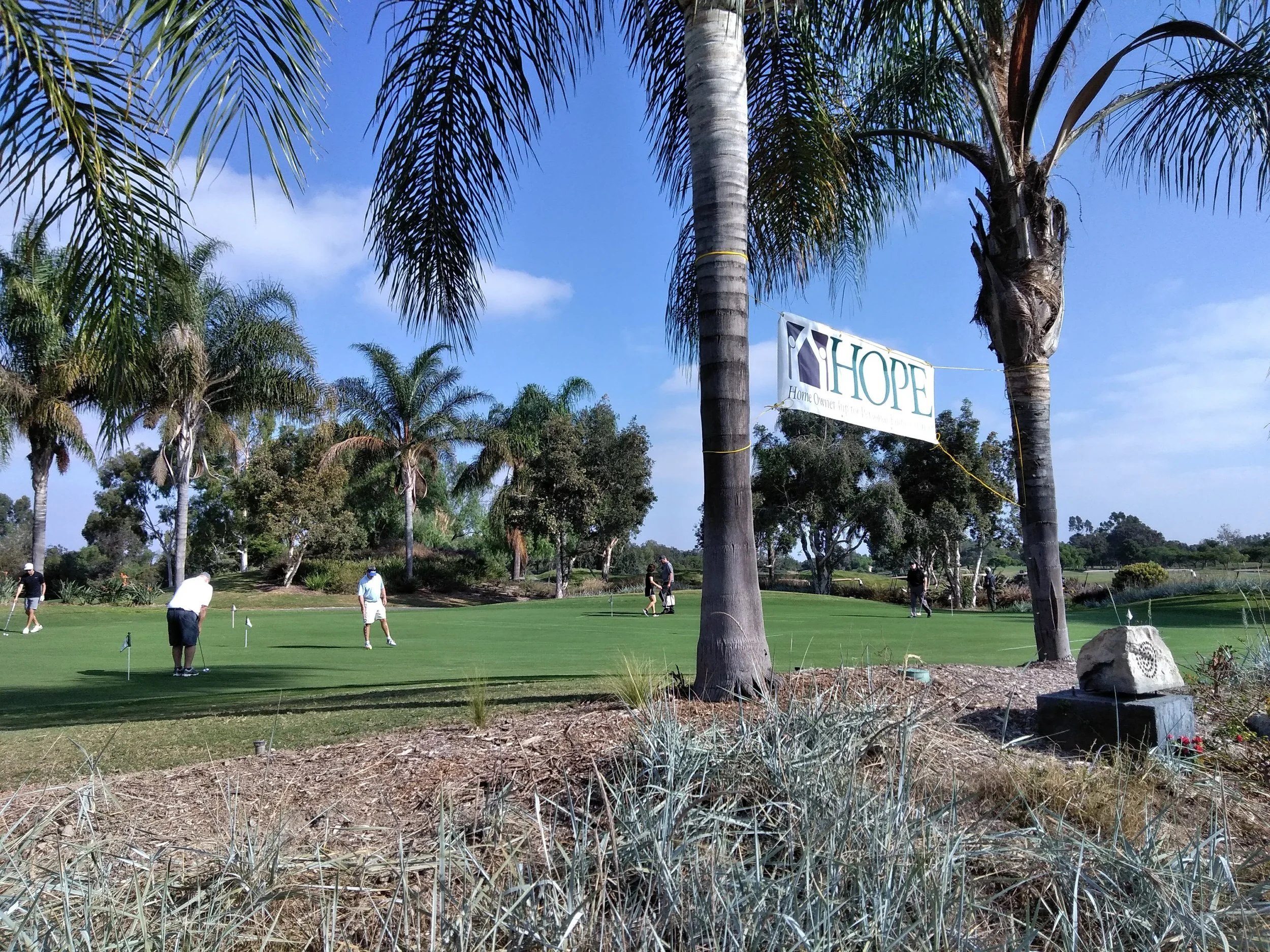 IMG_20181022_100737.jpg