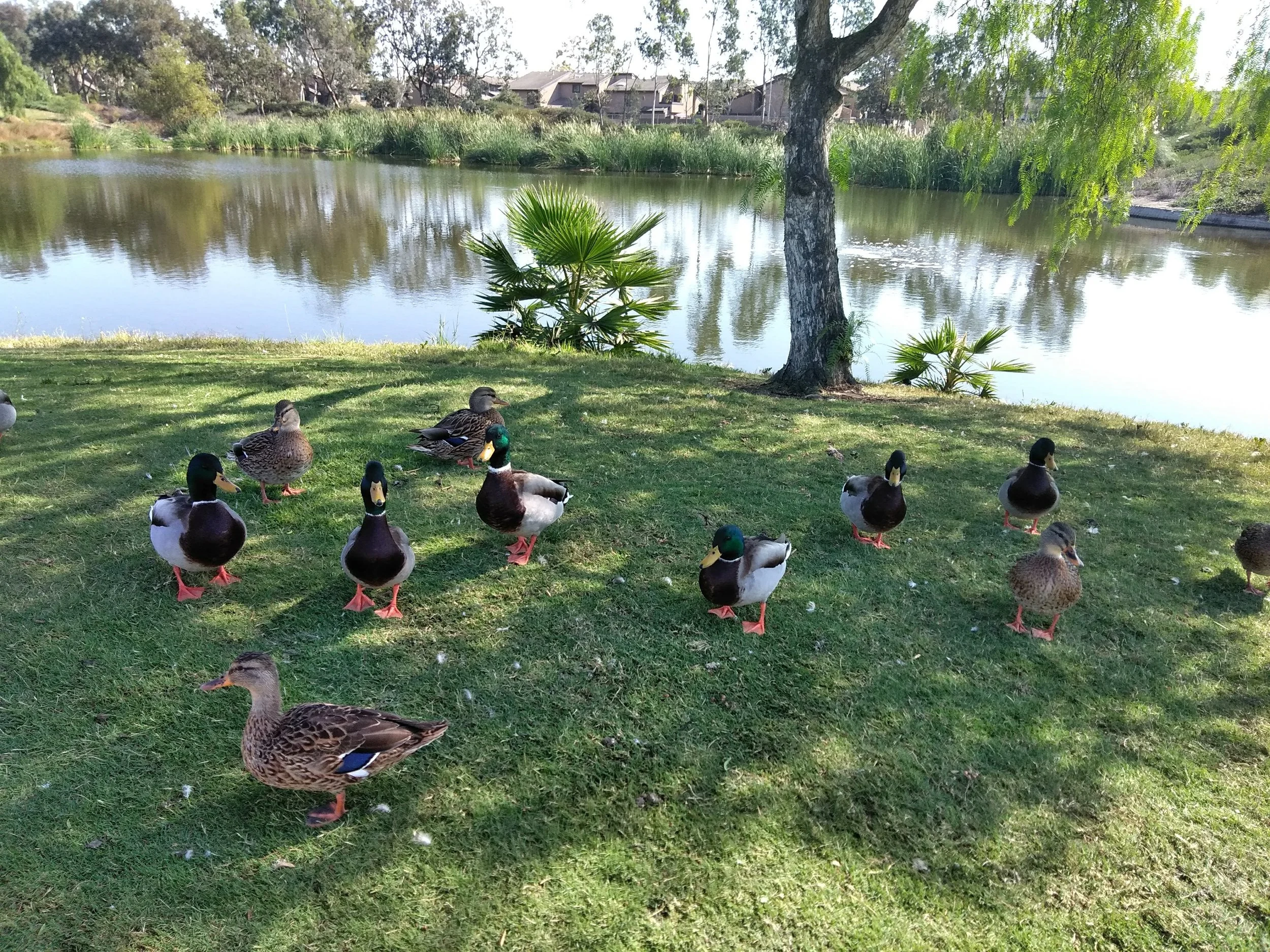 IMG_20181022_113856.jpg