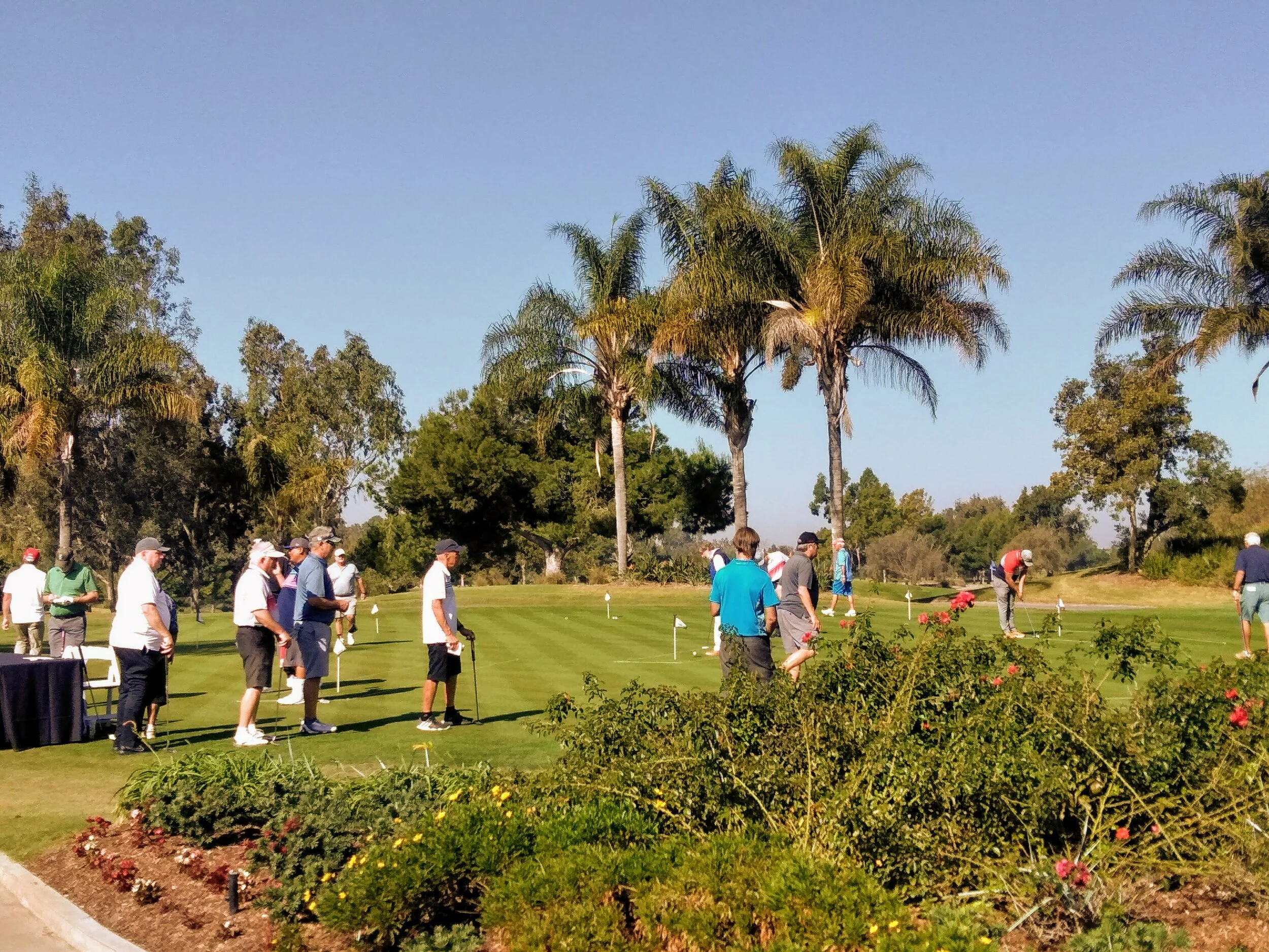 IMG_20191104_102334.jpg