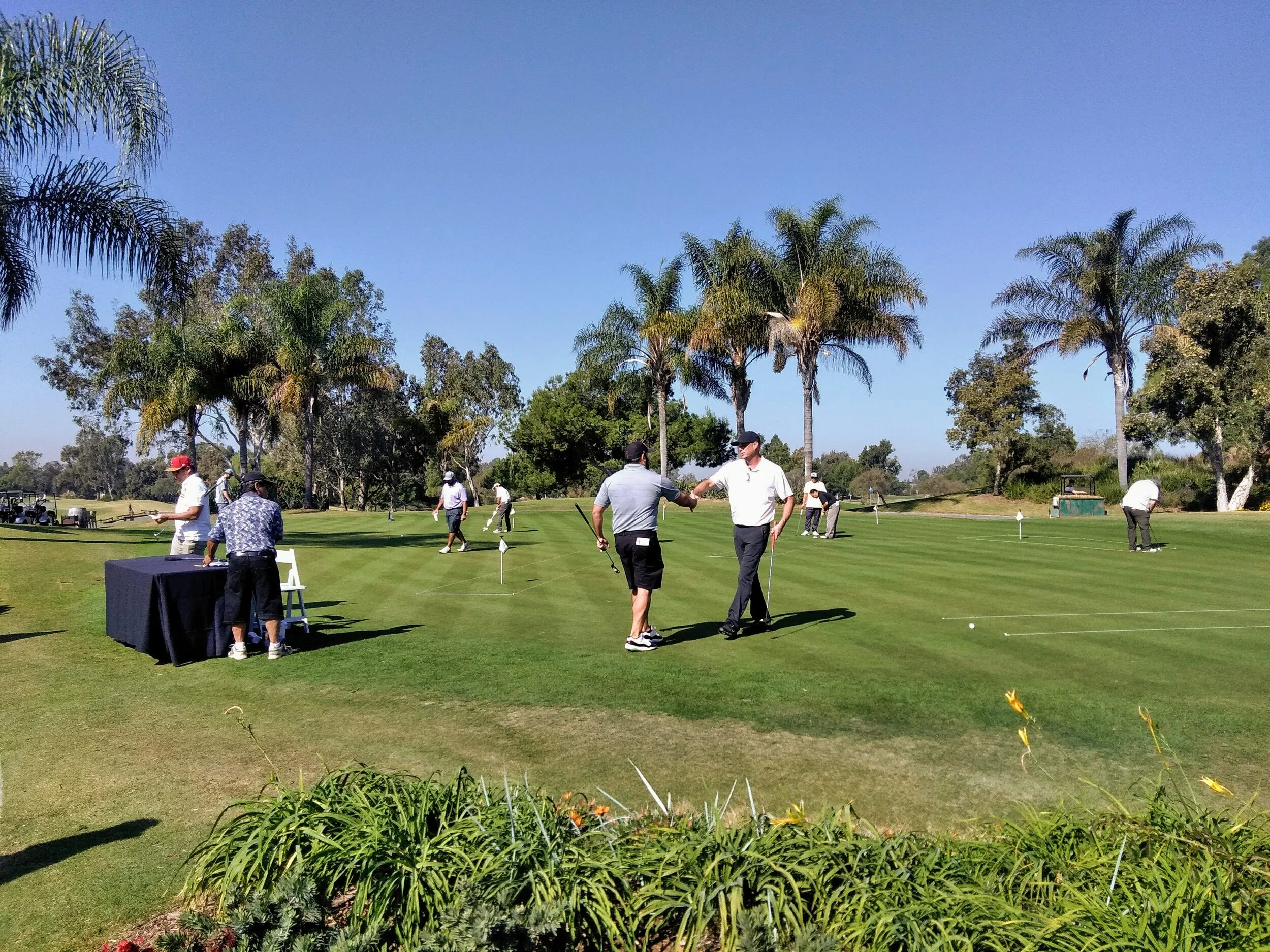 IMG_20191104_104615.jpg