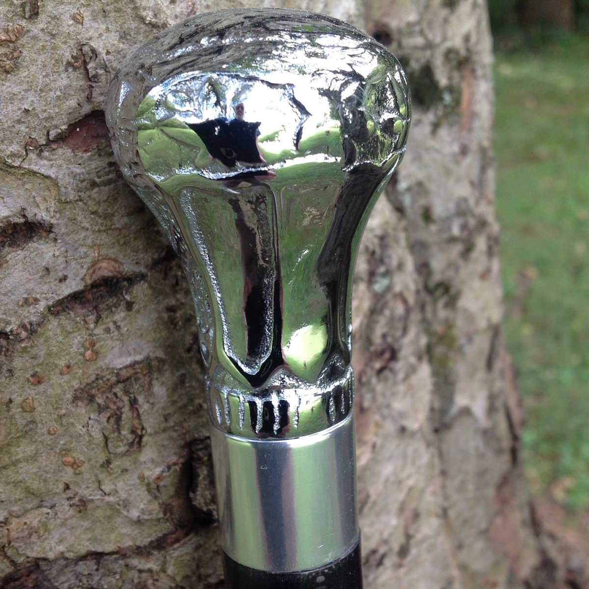Ebony and Silver walking stick