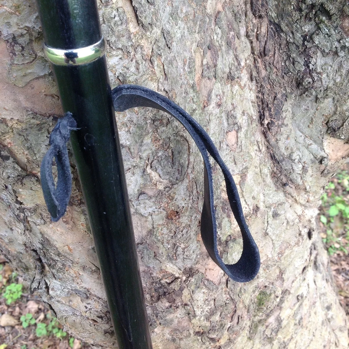 Ebony and Silver walking stick