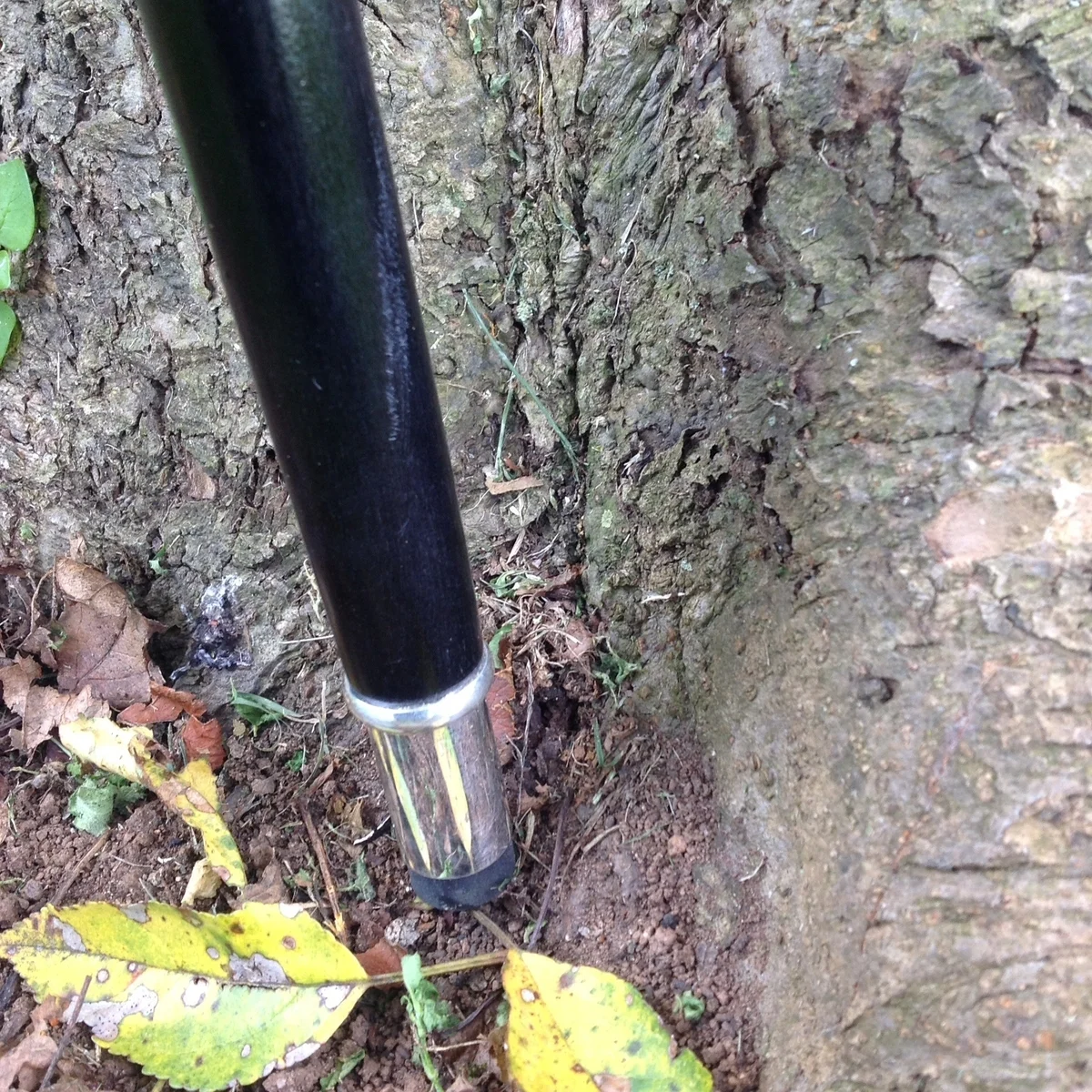 Ebony and Silver walking stick