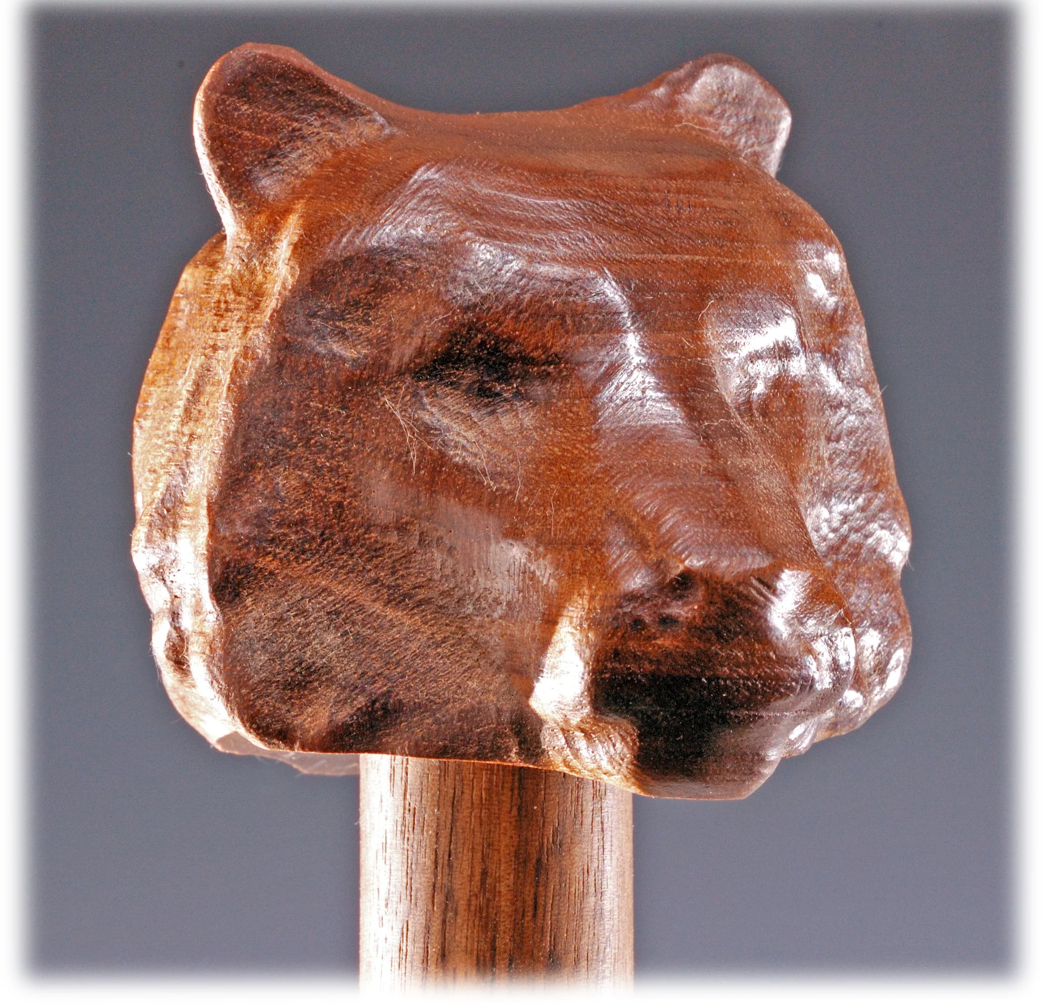 Tiger Society cane