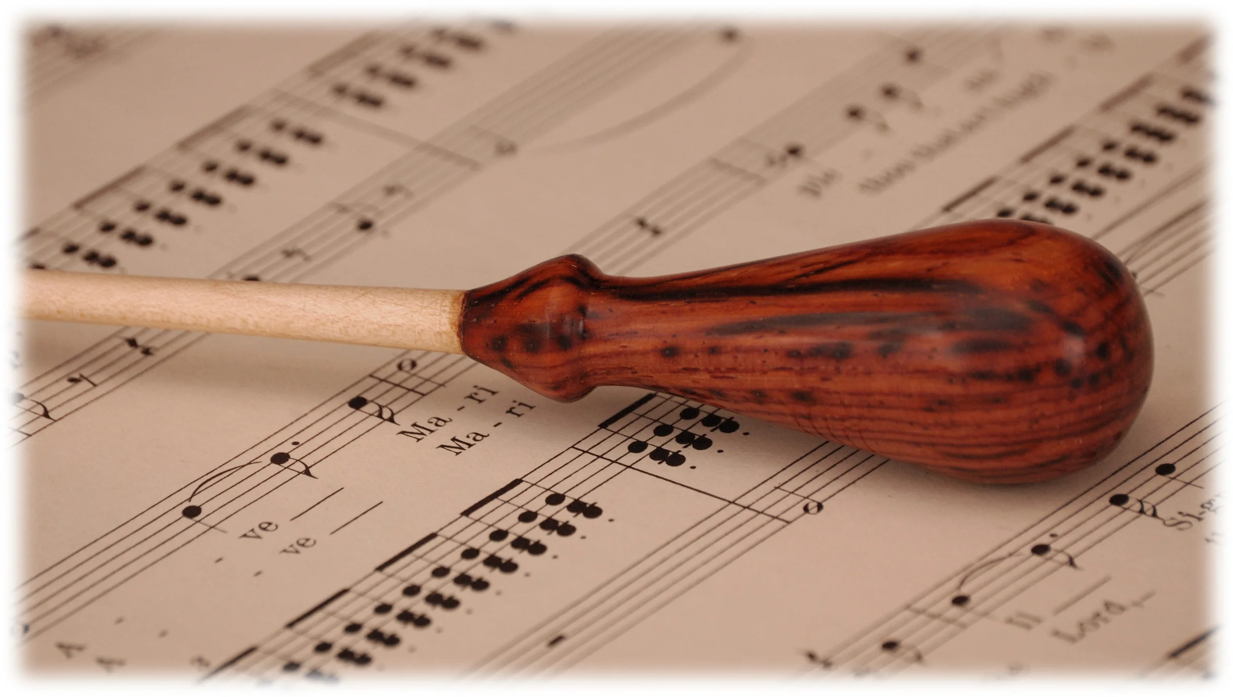 Cocobolo and birch