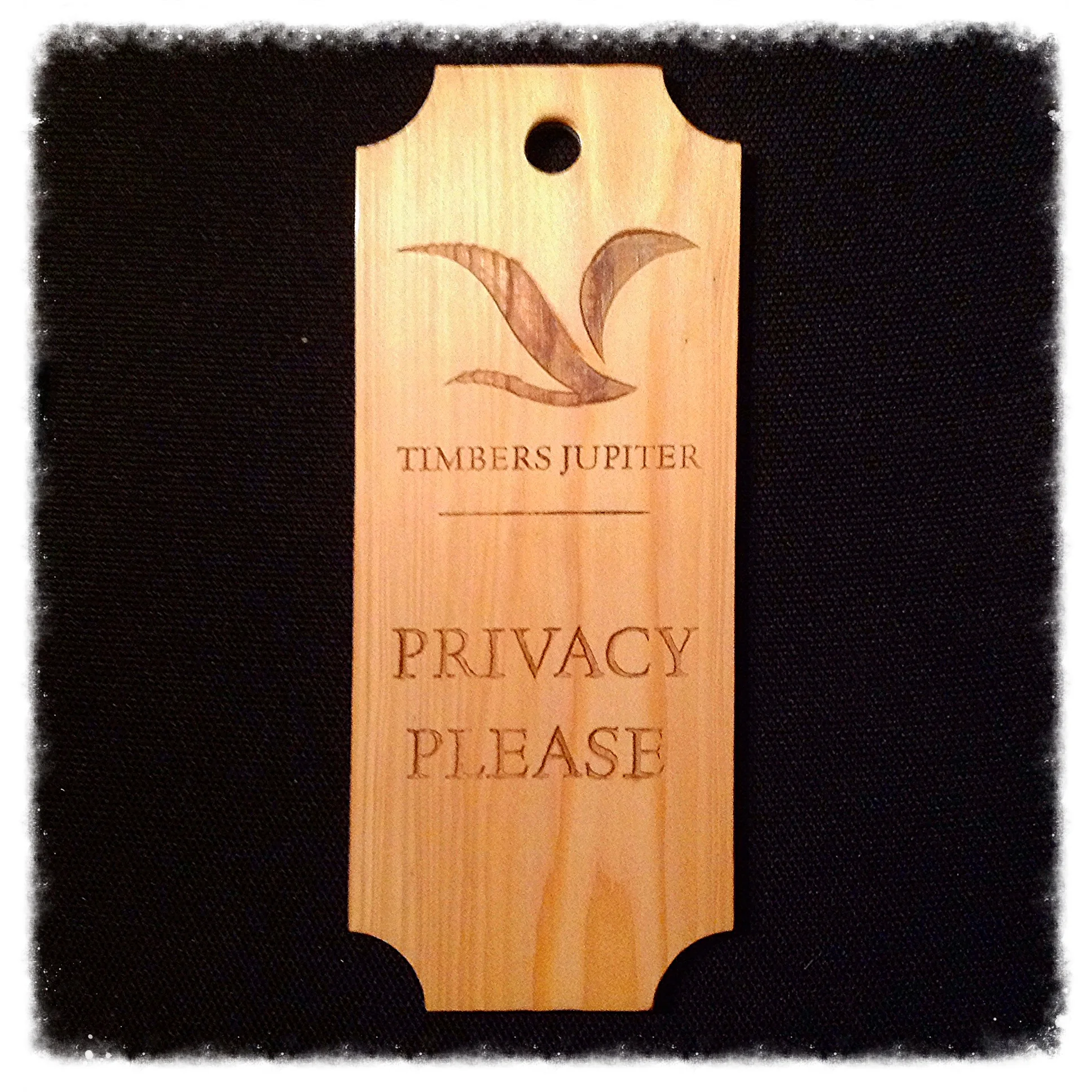 Privacy Please door hanger