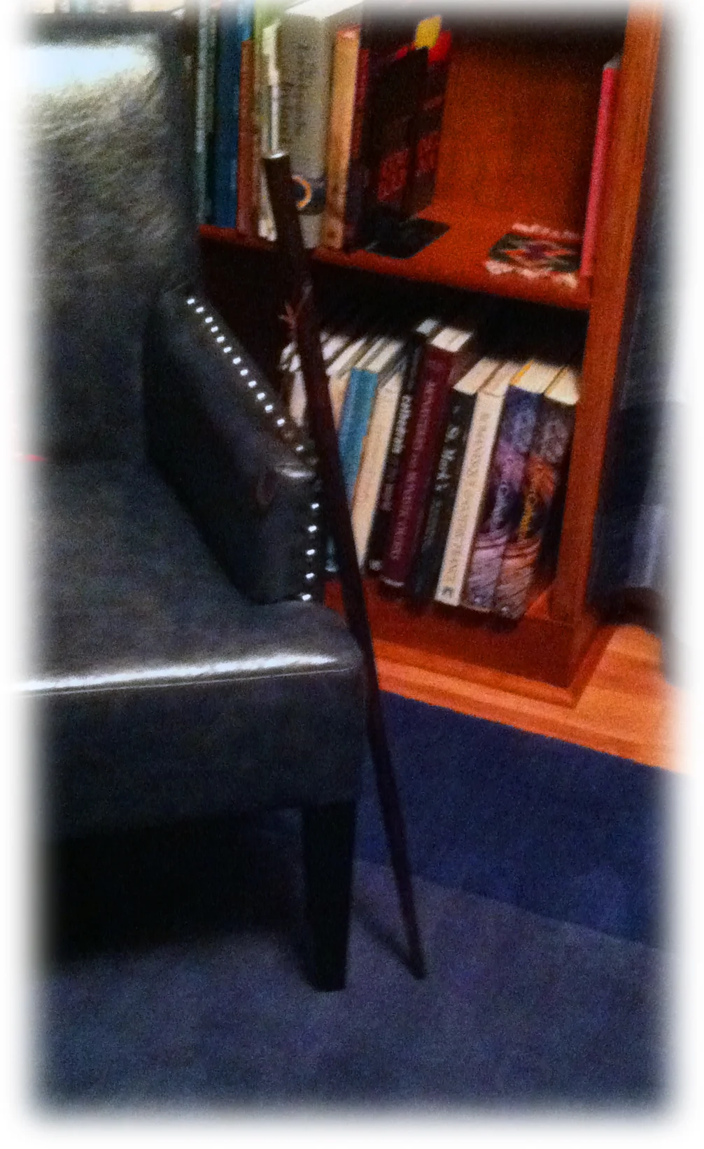 E.A. Poe walking cane replica