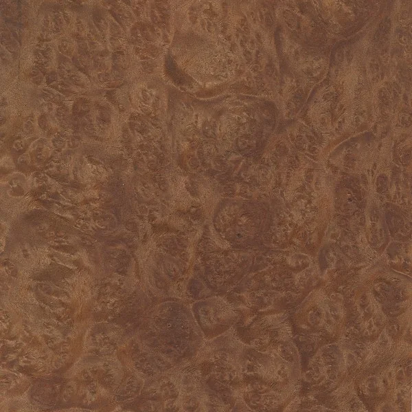   MAPLE BURL    Wood Database link  