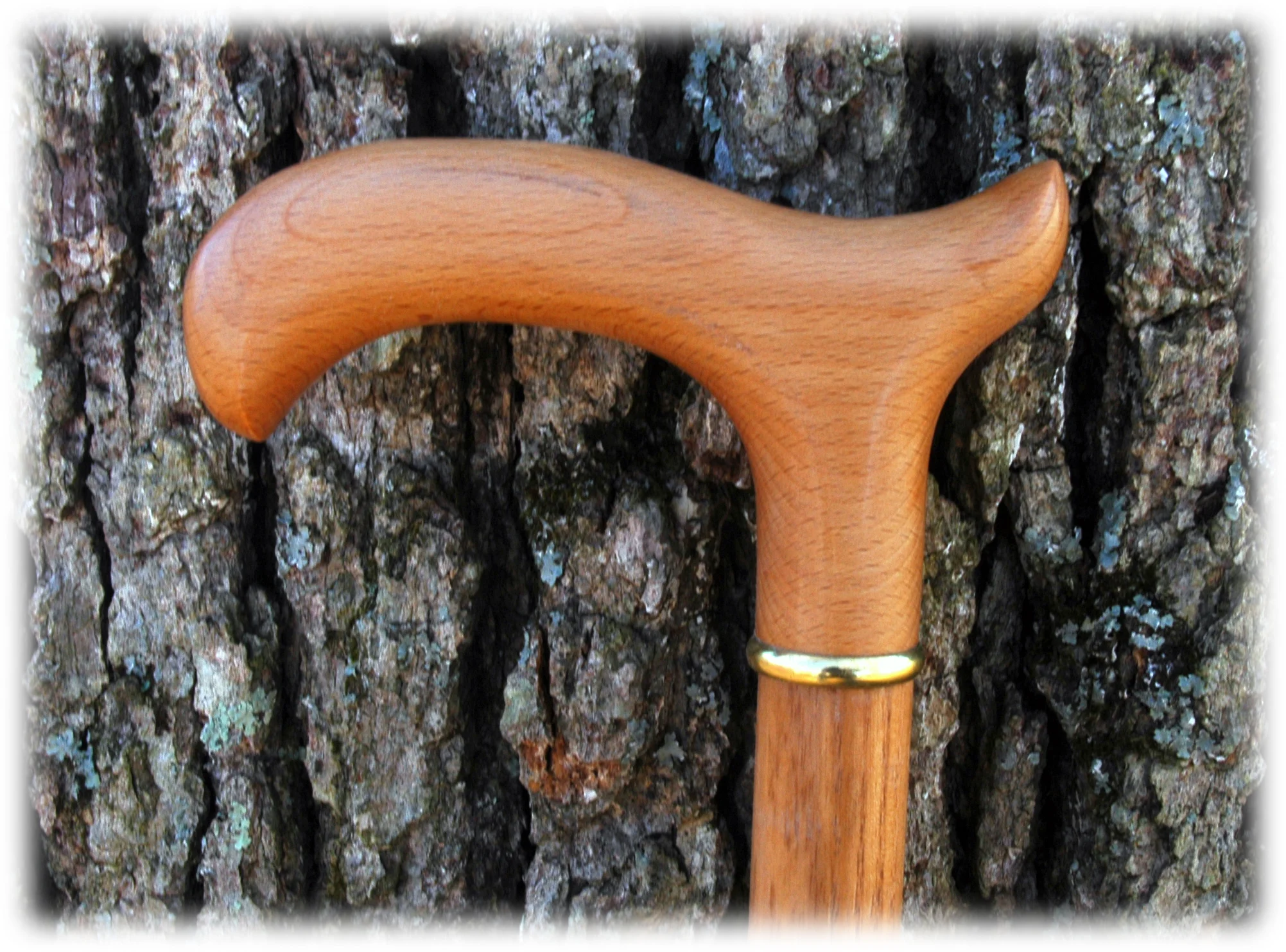 Beech and Ash 01 02.jpg