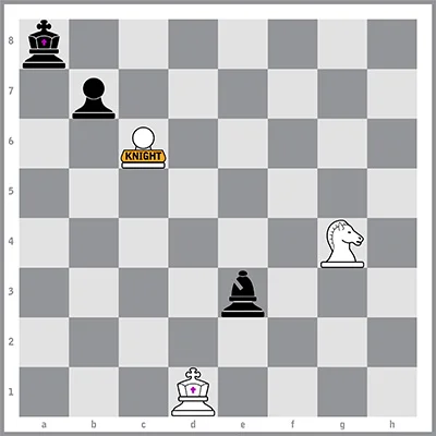 PlunderChess-PUZZLE-2_2001.jpg