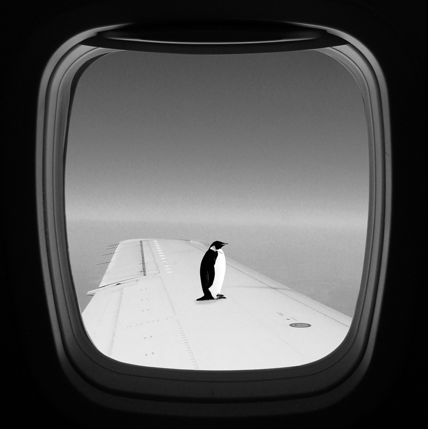 Window Seat