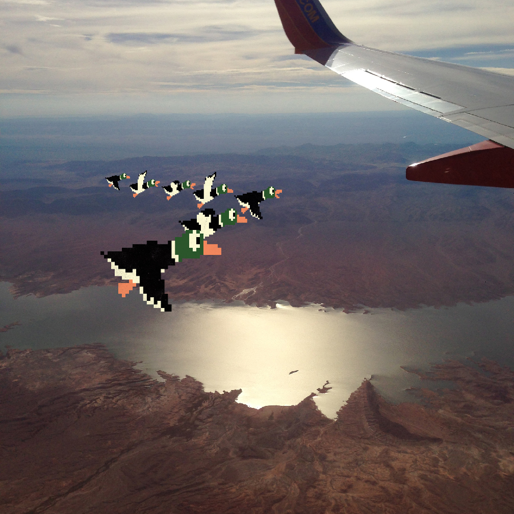 Flying South