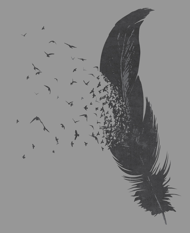 Birds of a Feather