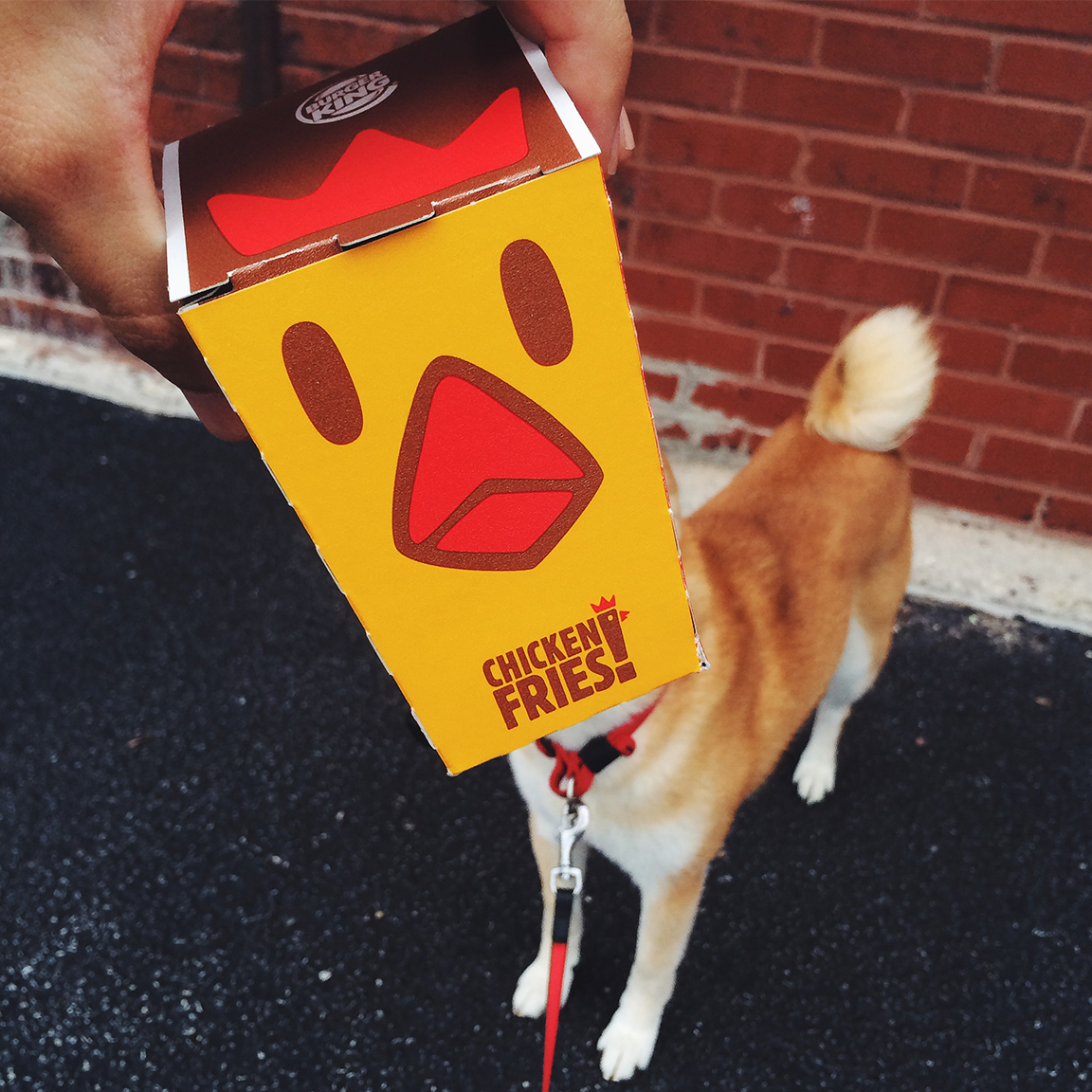 Burger King Chicken Fries Packaging