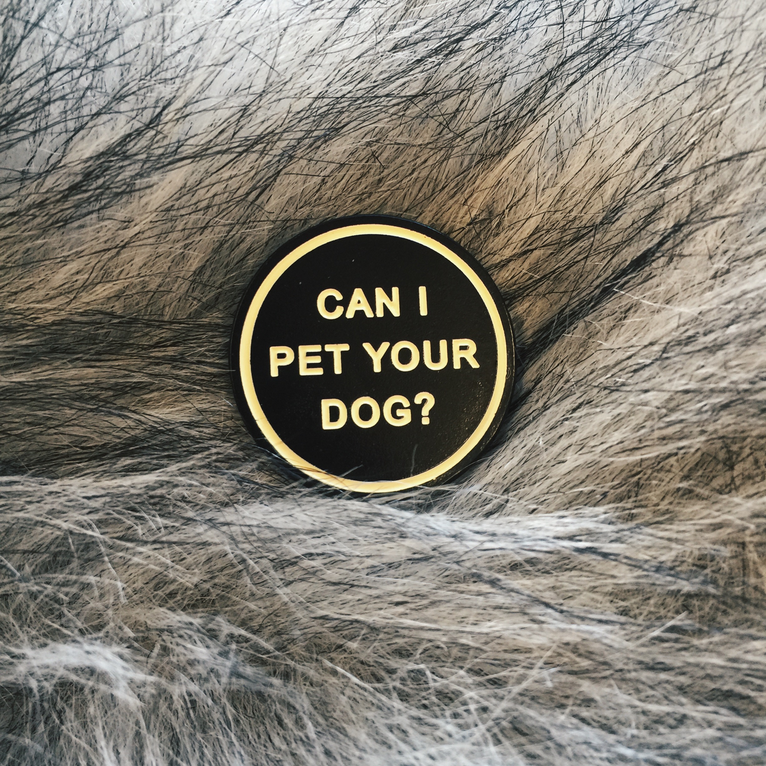 vsco-photo-2.jpg