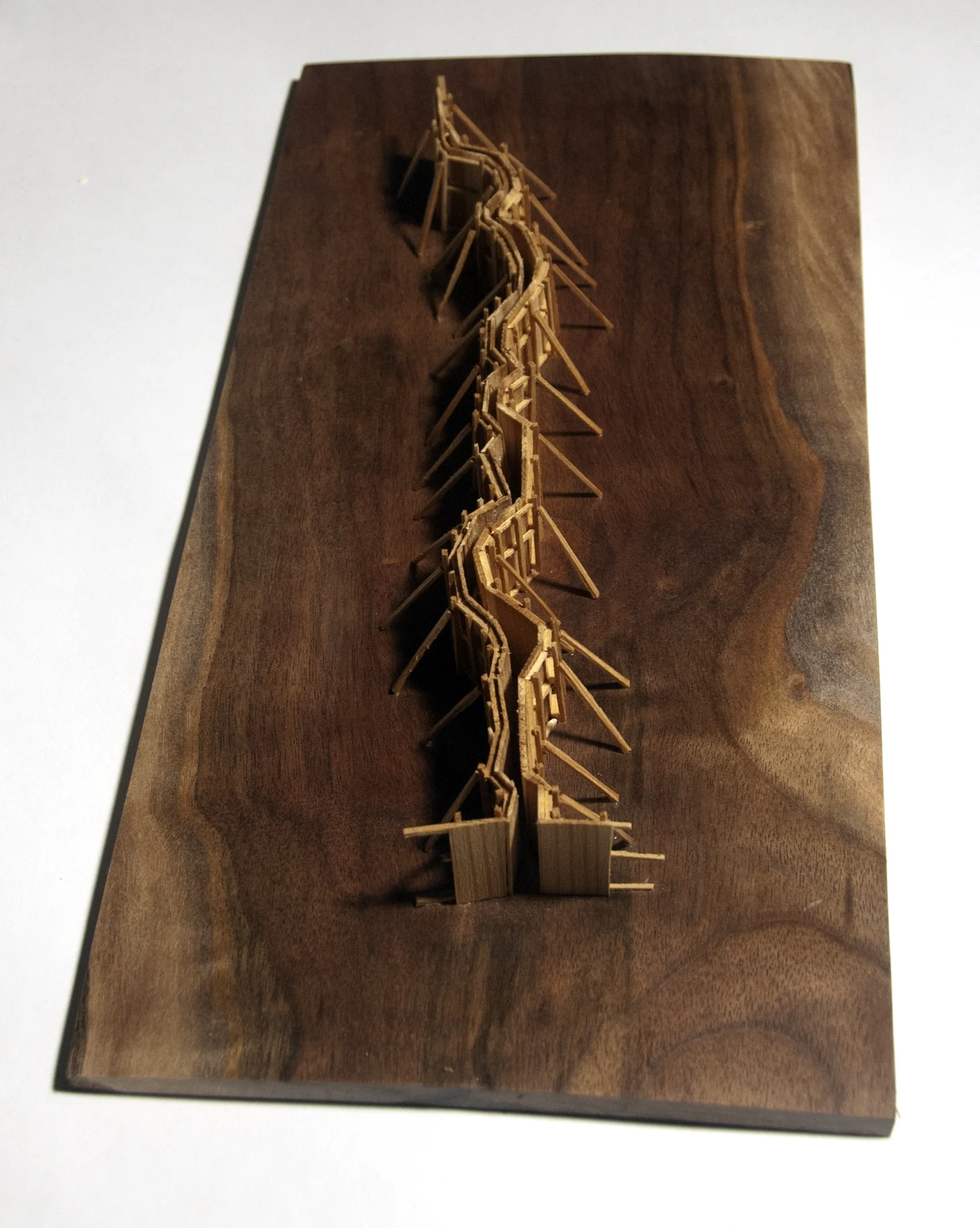 Mitten Creek Formwork, 2013, Walnut and Cedar, 8 x 16 x 1"