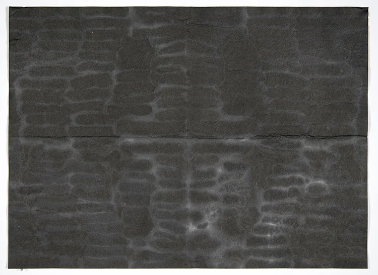 Folds and In 5.jpg