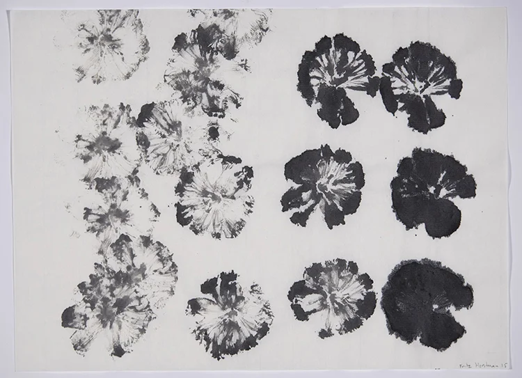 Onishi Plants 29.jpg