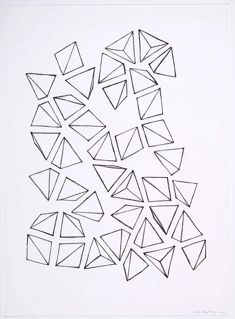 Tetrapod 13.jpg