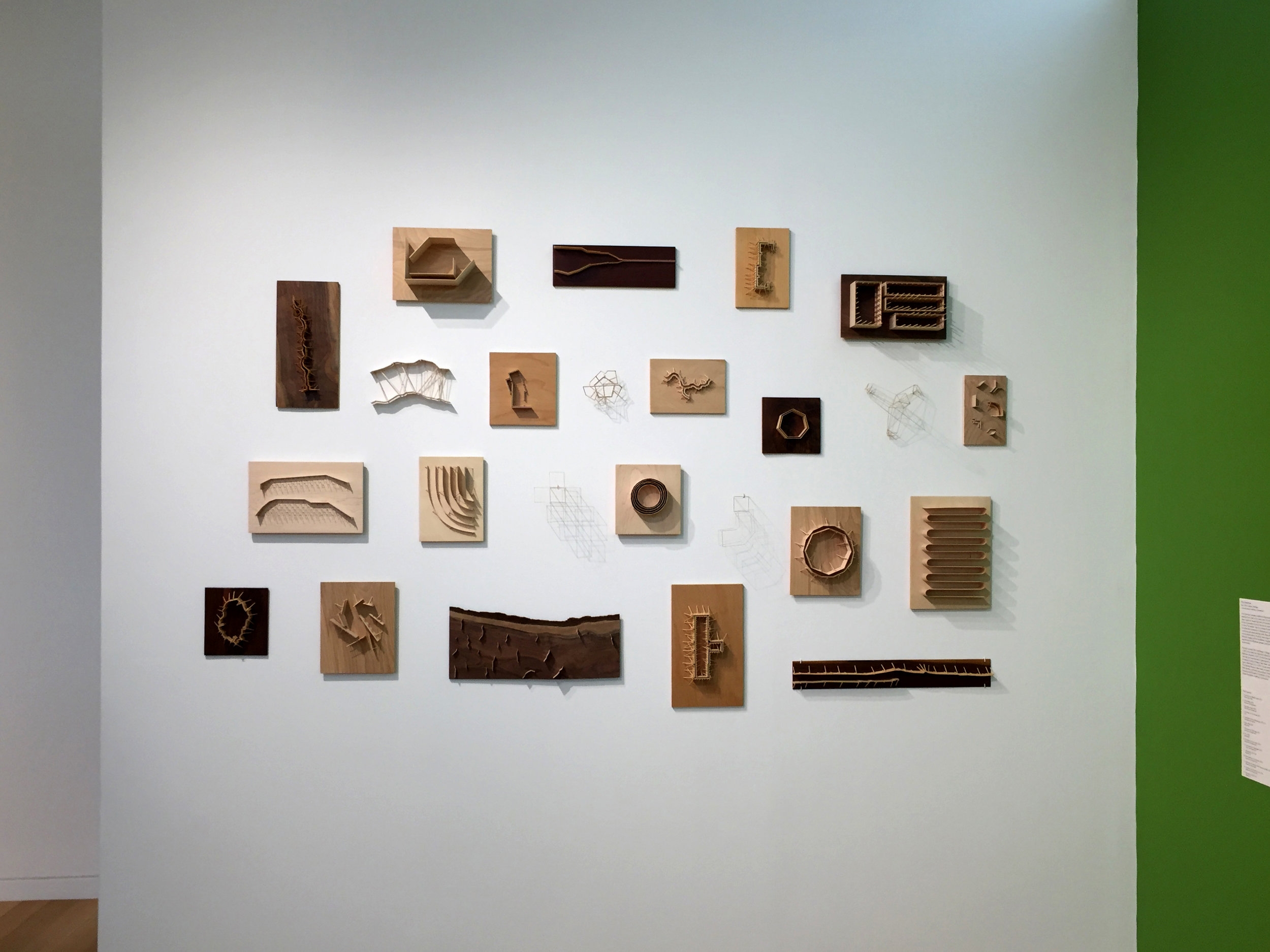 Installation at deCordova Biennial 2016-17