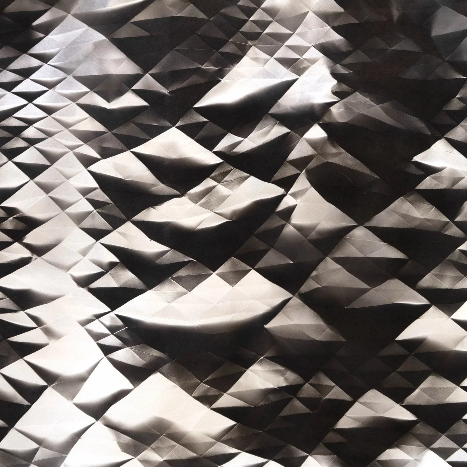 FPP 1 _ 18 x 21 in.jpg