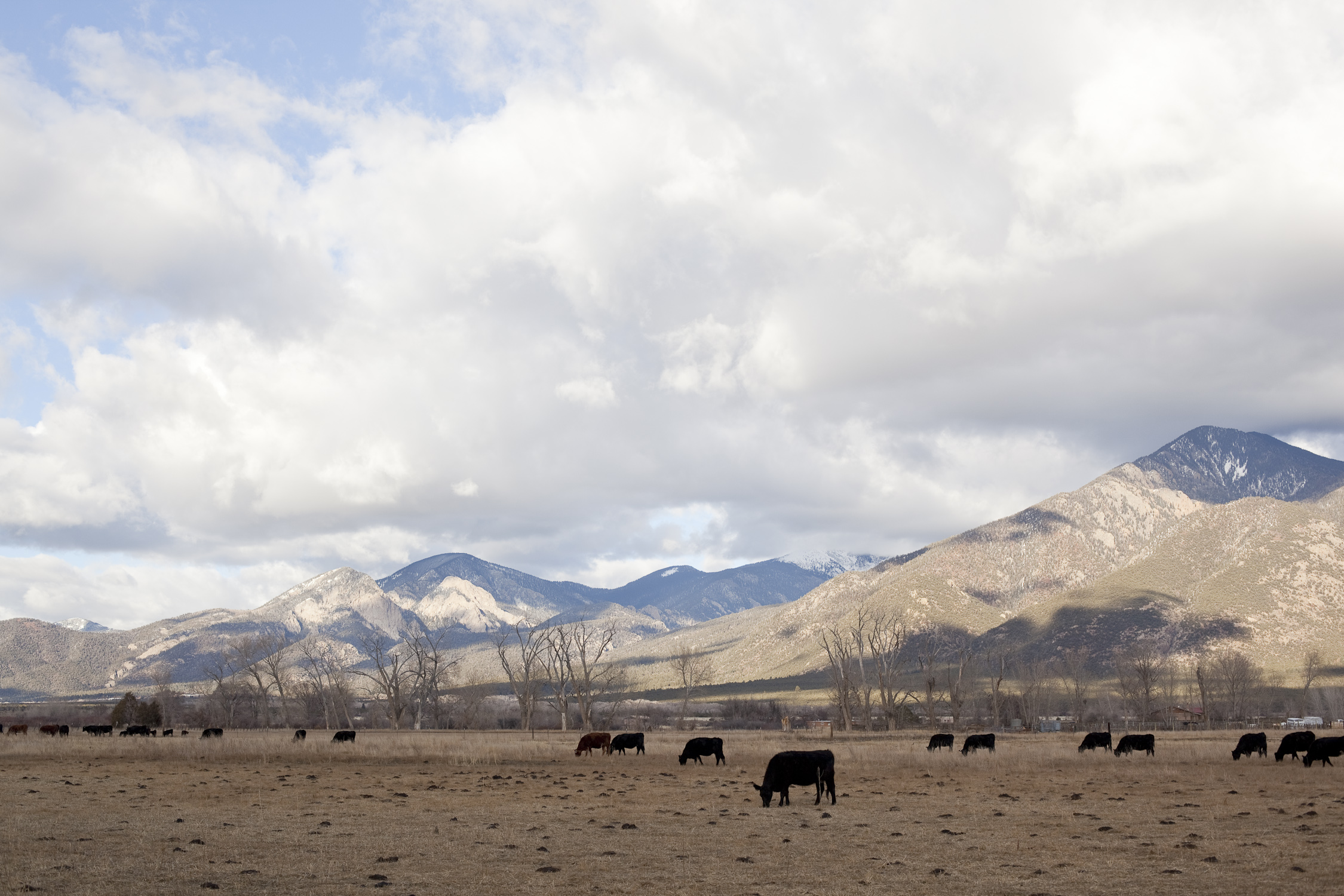 Stunning Taos mountain and El Salto in the distance. Just your average view from the highway.