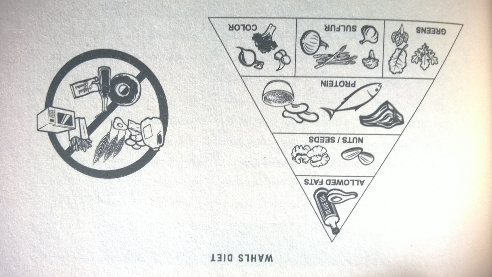 phone photo from the book 'The Wahls Protocol'
