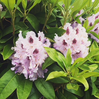 image1.jpeg