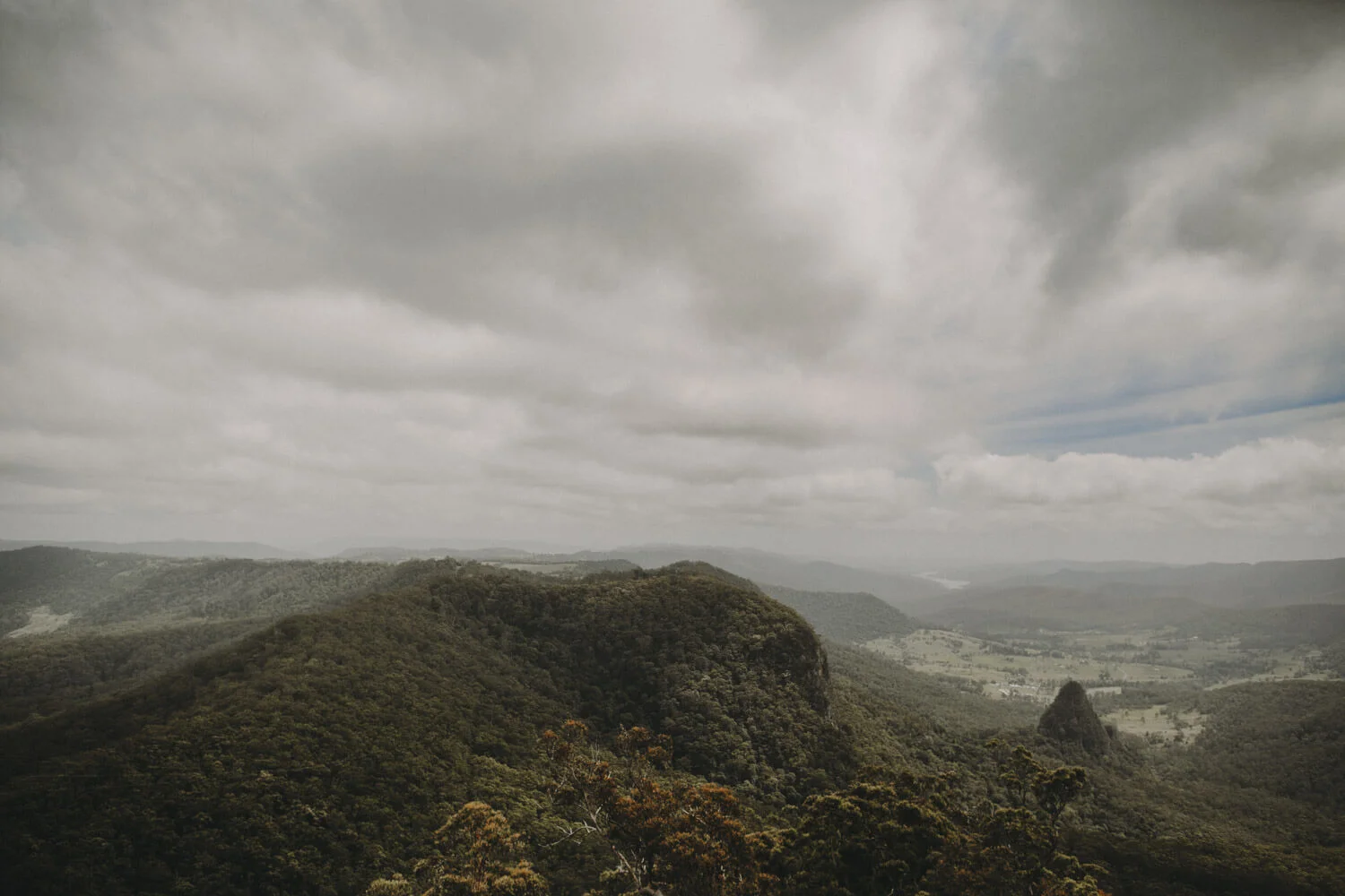 lamington-national-park-wedding_001(5439).jpg