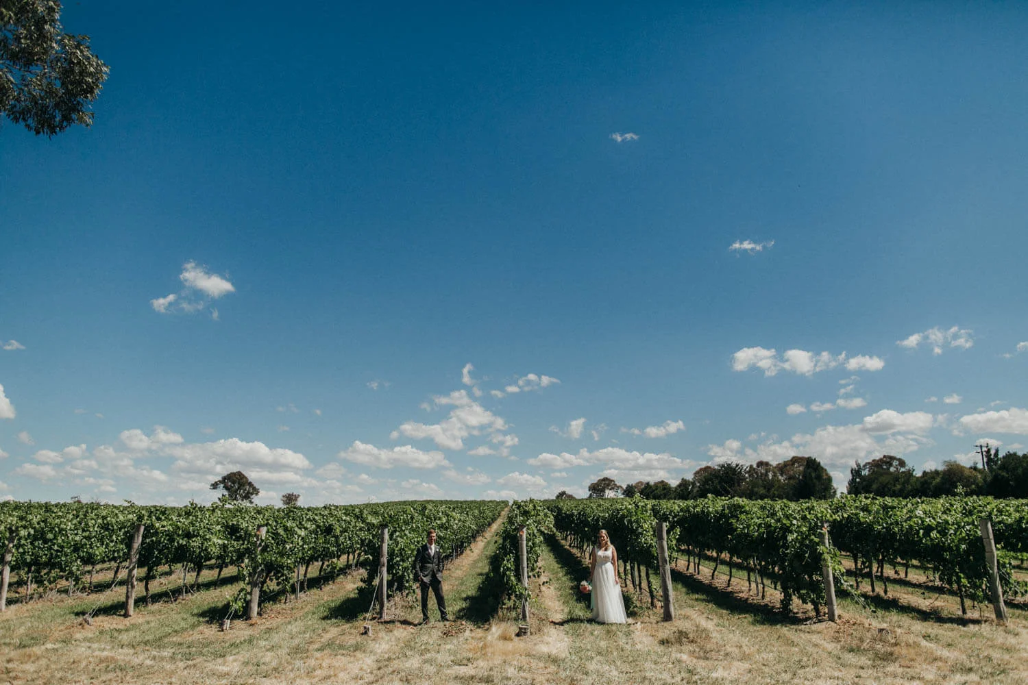 murrumbateman-winery-wedding_034(0644).jpg