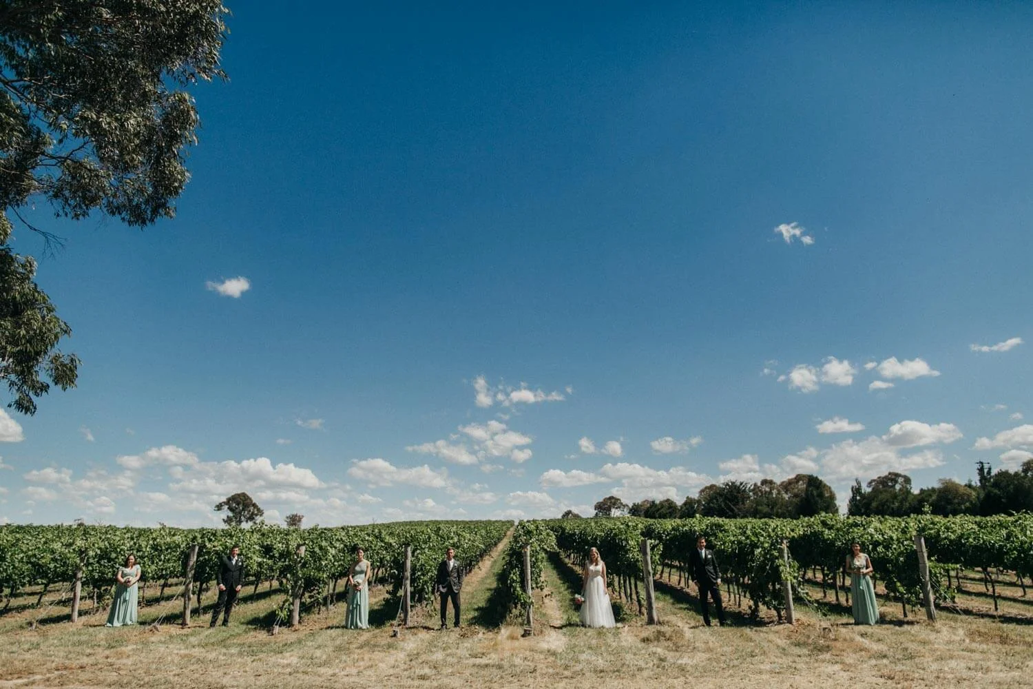 murrumbateman-winery-wedding_042(0646).jpg