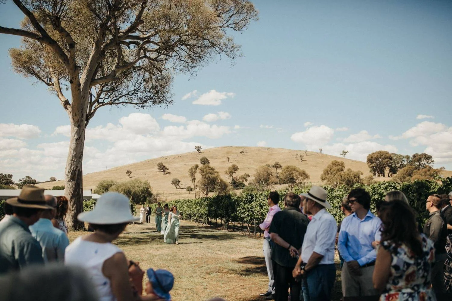 murrumbateman-winery-wedding_050(0874).jpg