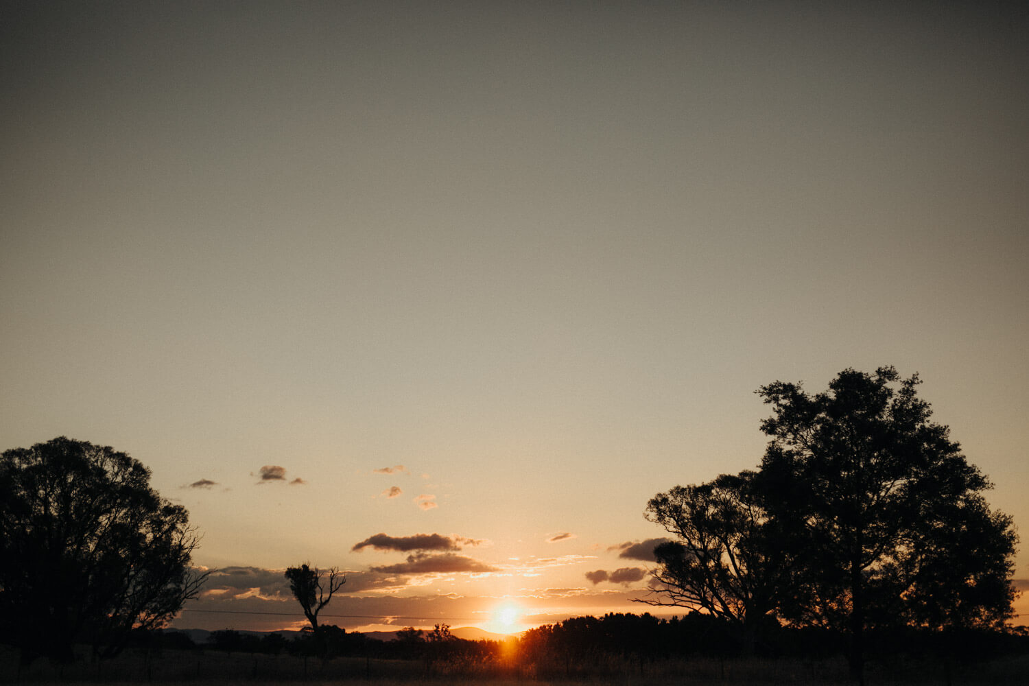 murrumbateman-winery-wedding_107(3298).jpg