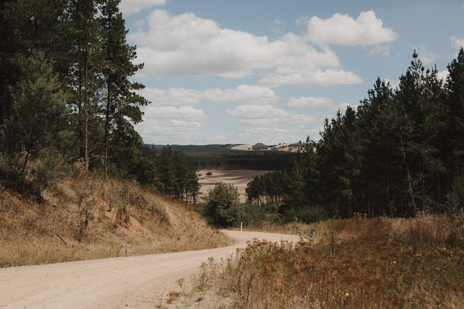 suger-pine-walk-wedding (Corinna & Dylan)_001(0181).jpg