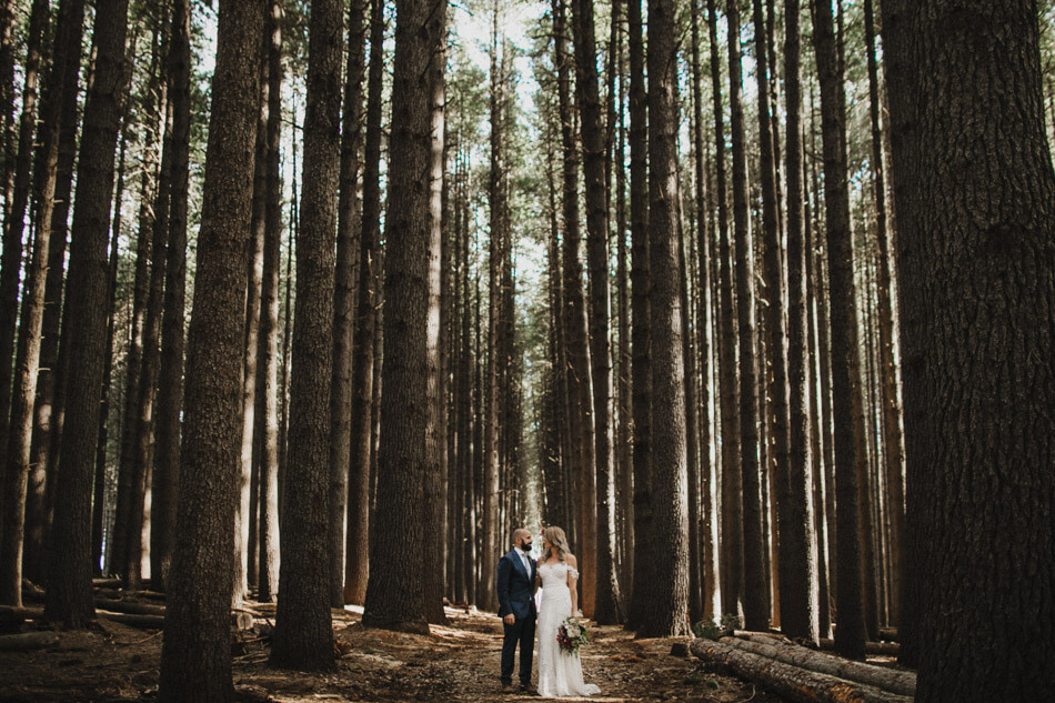 suger-pine-walk-wedding (Corinna & Dylan)_163(2092).jpg