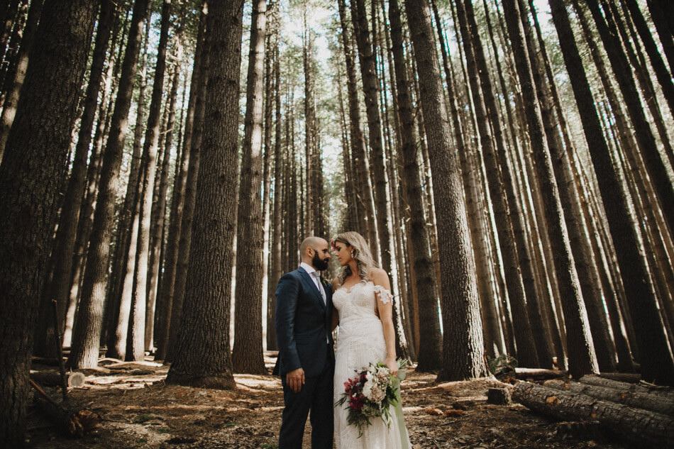 suger-pine-walk-wedding (Corinna & Dylan)_165(2099).jpg