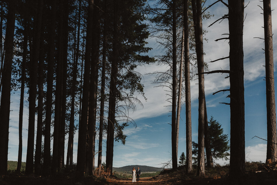 suger-pine-walk-wedding (Corinna & Dylan)_175().jpg