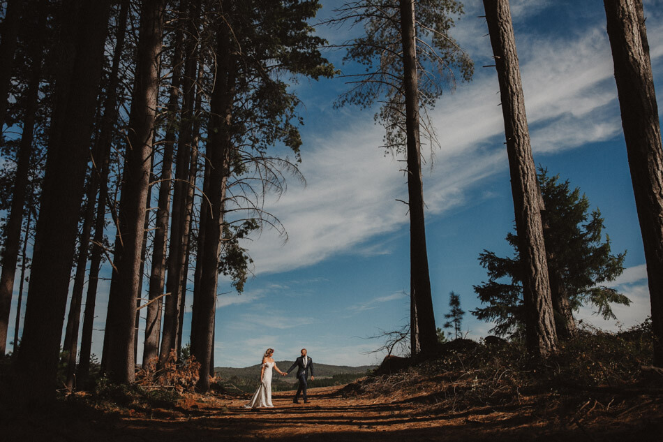 suger-pine-walk-wedding (Corinna & Dylan)_179().jpg