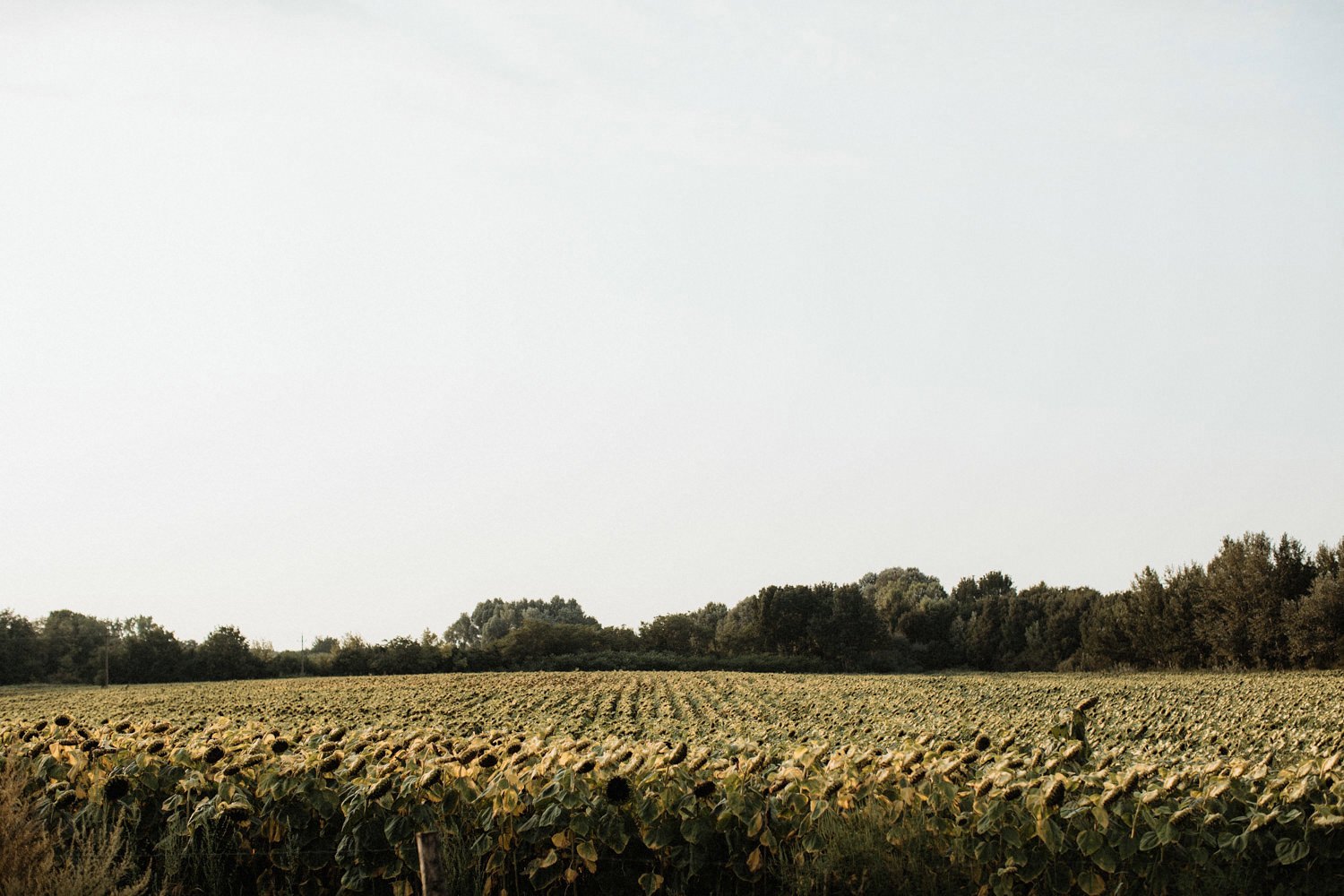 elopement-europe-photography_104(4617).jpg